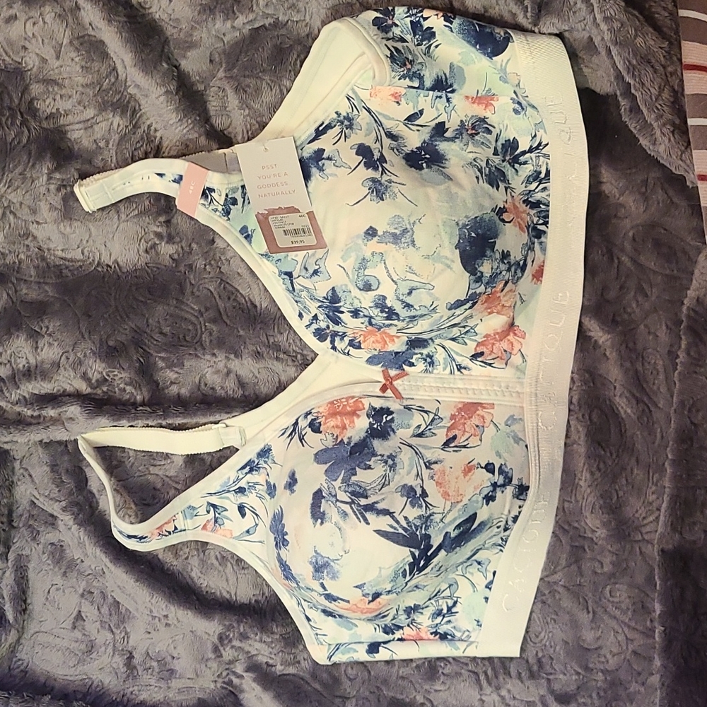Lane Bryant T-shirt Bra